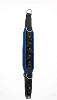 CINTURON color NEGRO /AZUL ELECT economica